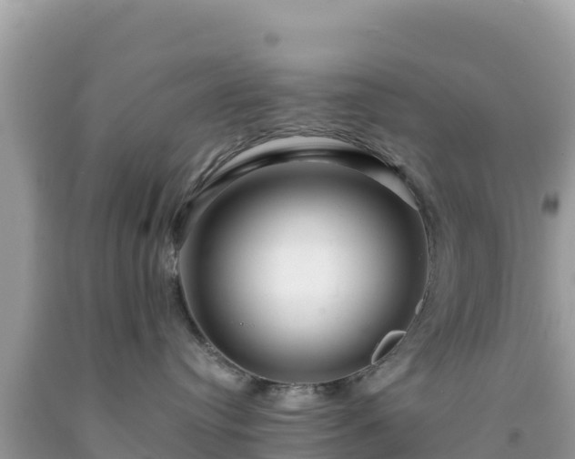 X0000092020384200709131602