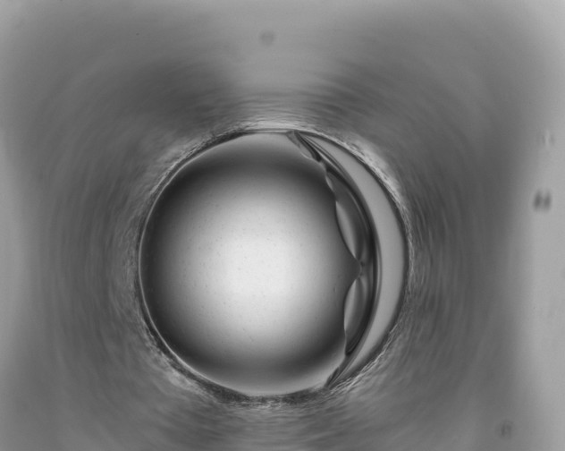 X0000092020385200709131602