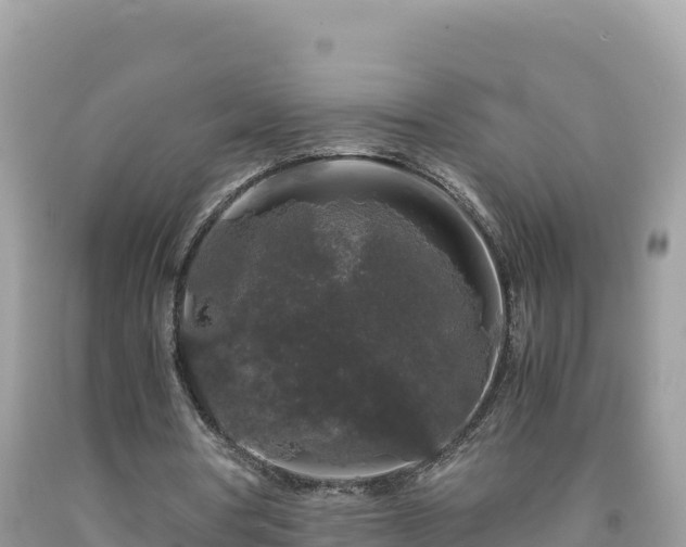 X0000092020386200709131602