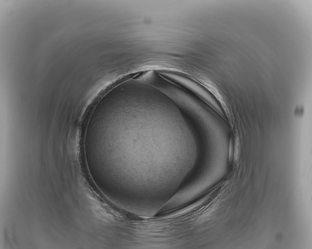 X0000092020387200709131602