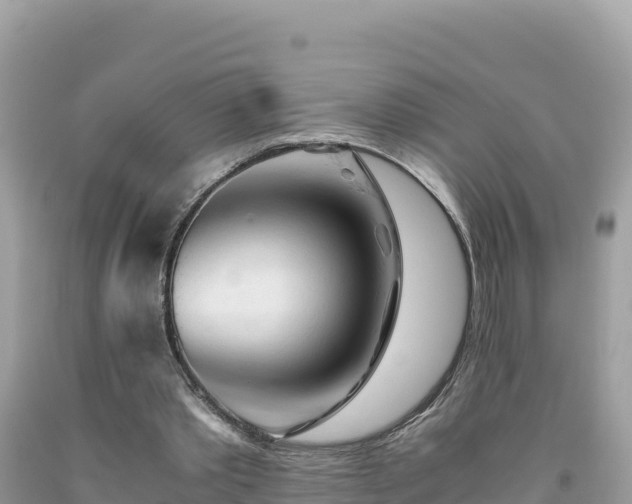 X0000092020389200709131602