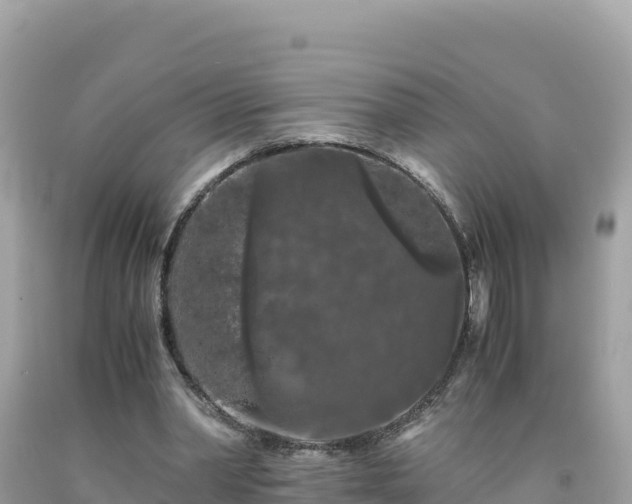 X0000092020390200709131602