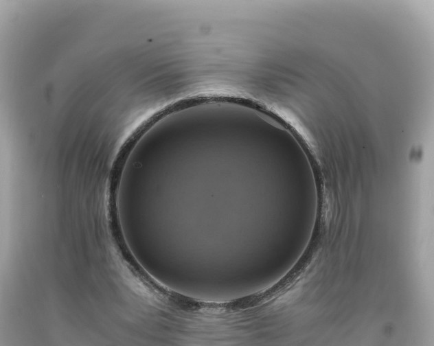 X0000092020391200709131601