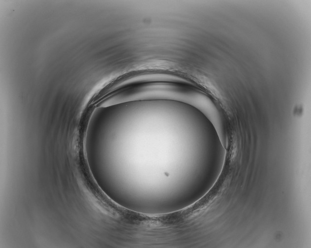 X0000092020392200709131601