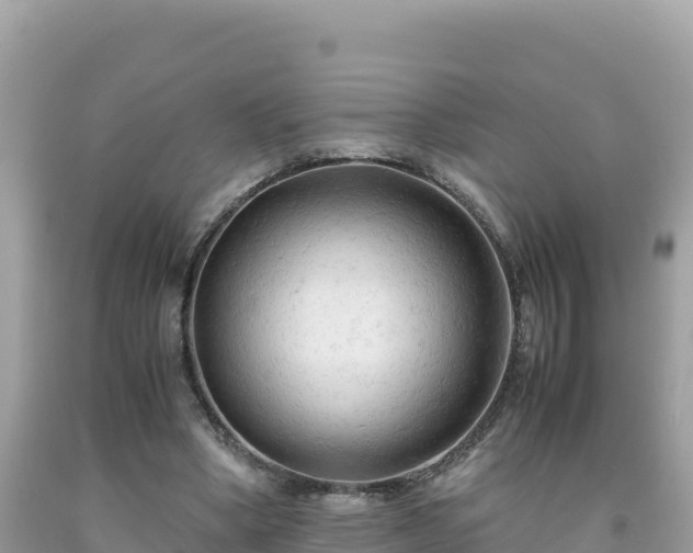 X0000092020394200709131601