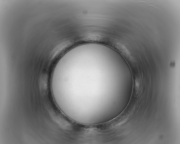 X0000092020396200709131601