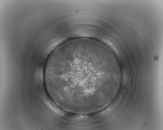 X0000092020398200709131601