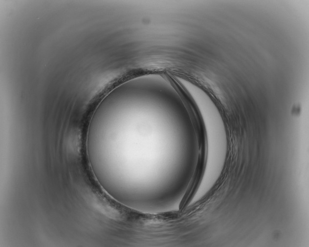 X0000092020400200709131601