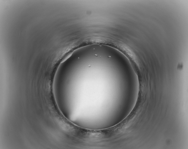 X0000092020401200709131601
