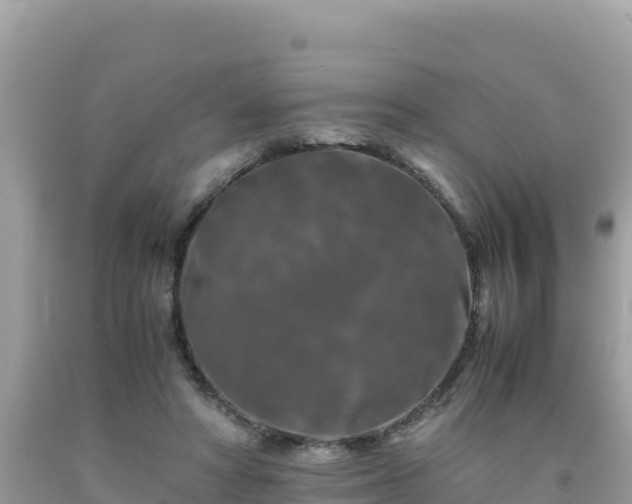 X0000092020402200709131601