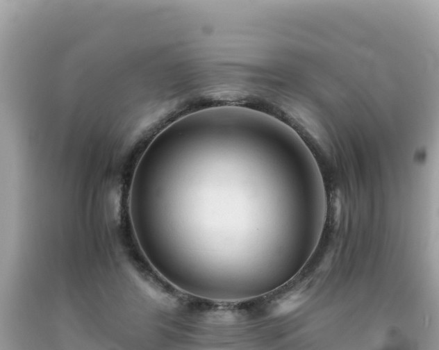 X0000092020404200709131601