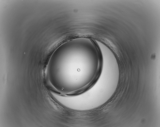 X0000092020405200709131601