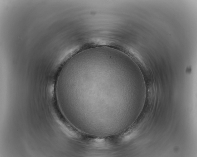 X0000092020406200709131601