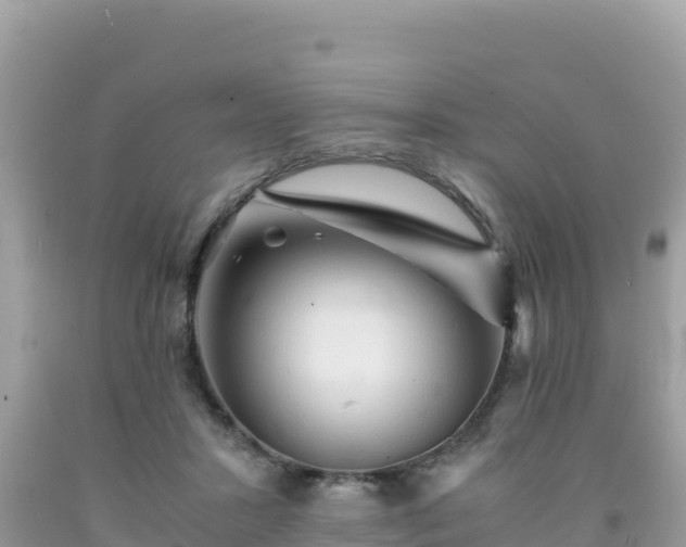 X0000092020407200709131601