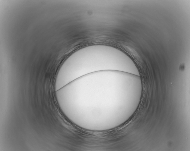 X0000092020409200709131601