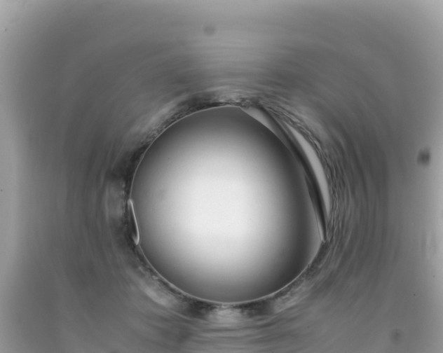 X0000092020413200709131601