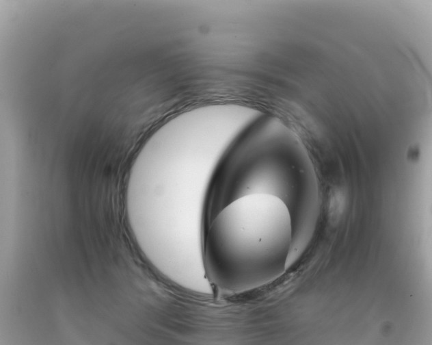 X0000092020416200709131601