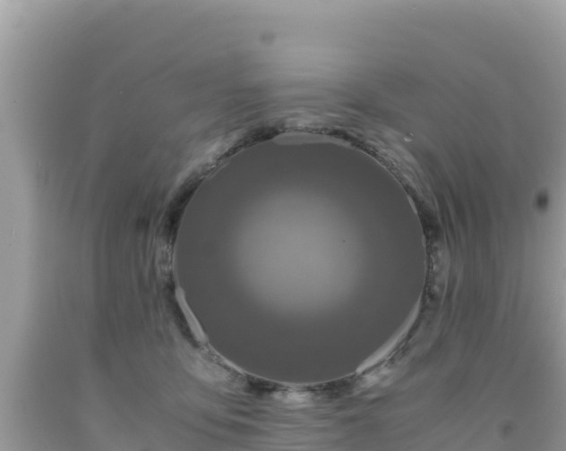 X0000092020419200709131601