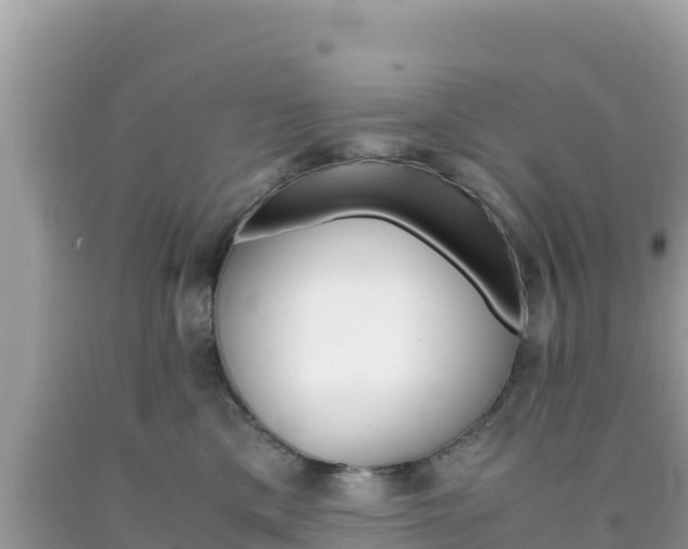 X0000092020425200709131601