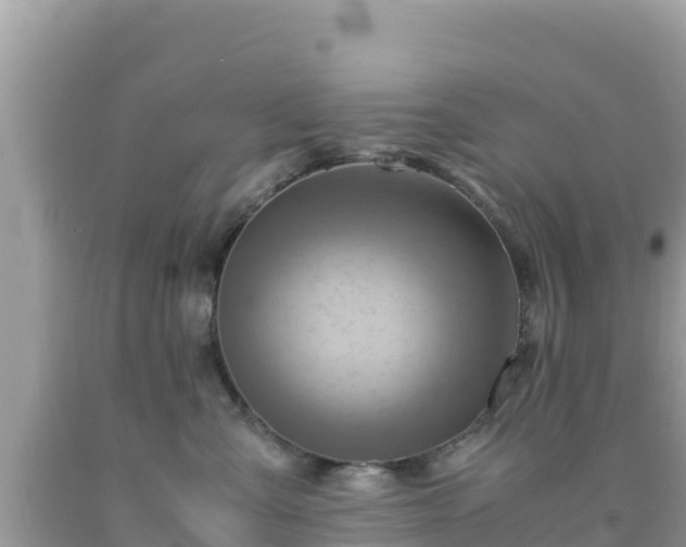 X0000092020427200709131601