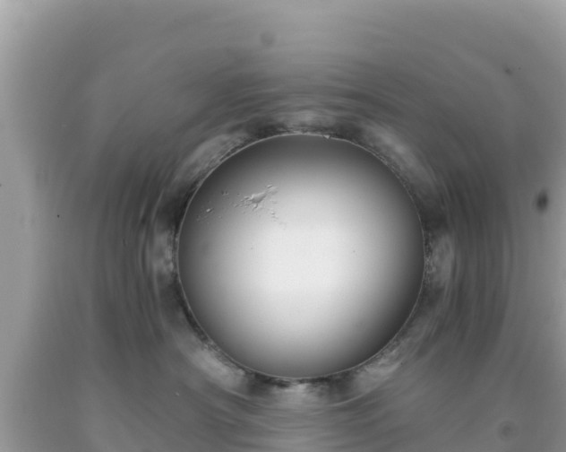 X0000092020430200709131601
