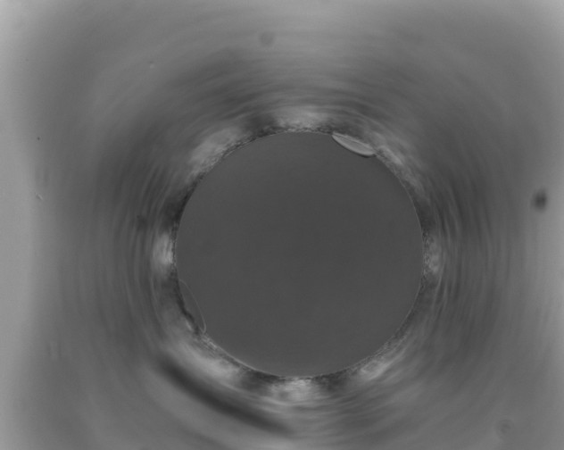 X0000092020431200709131601