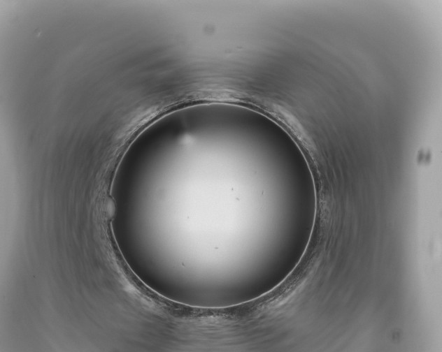 X0000092020433200709131600