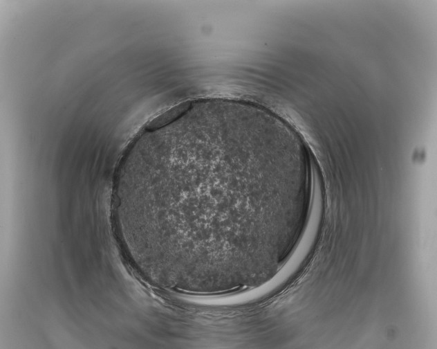 X0000092020434200709131600