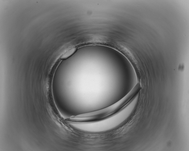 X0000092020435200709131600