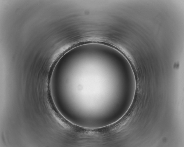 X0000092020437200709131600