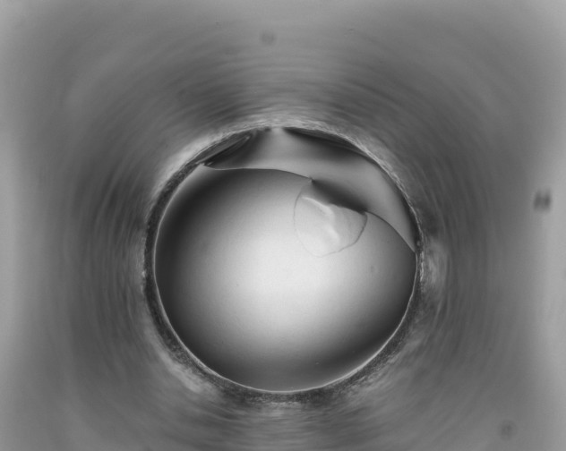X0000092020438200709131600