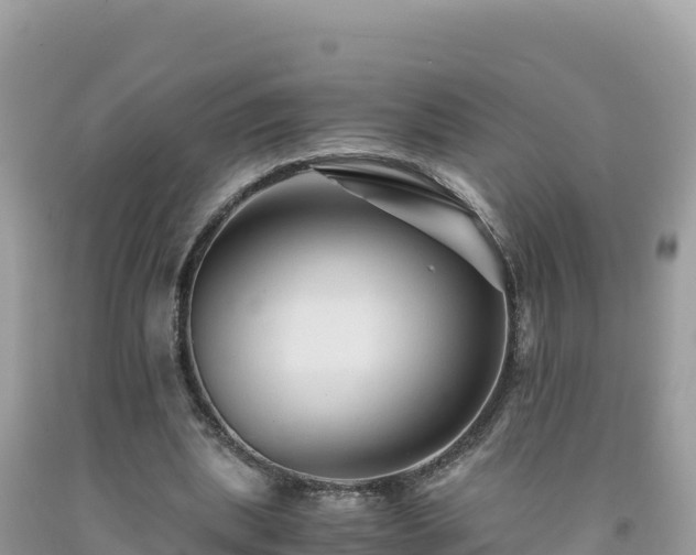 X0000092020439200709131600