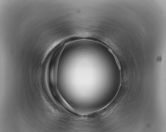 X0000092020440200709131600