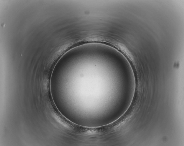 X0000092020441200709131600