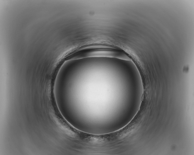 X0000092020442200709131600