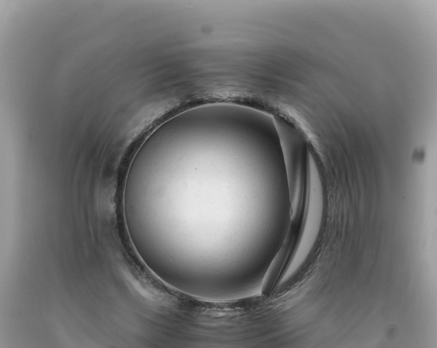 X0000092020443200709131600