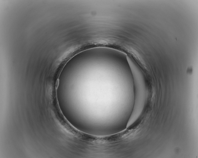 X0000092020444200709131600