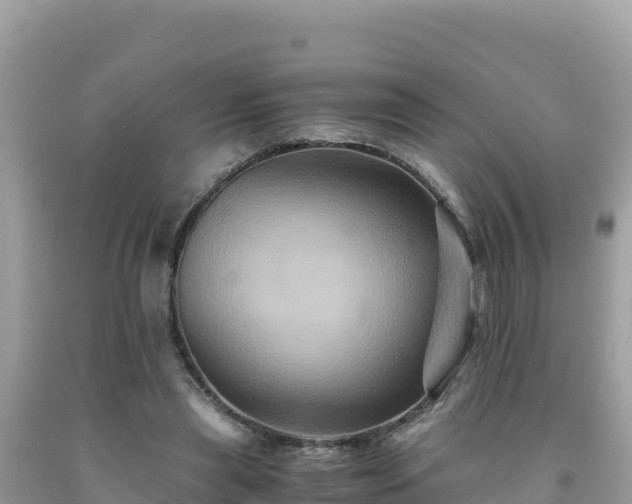 X0000092020445200709131600
