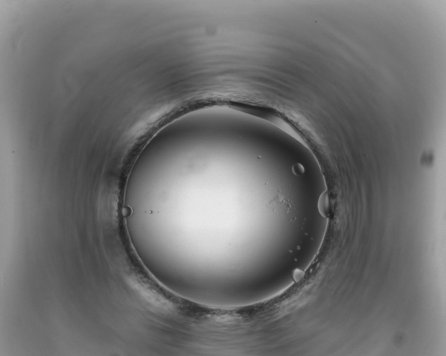 X0000092020446200709131600