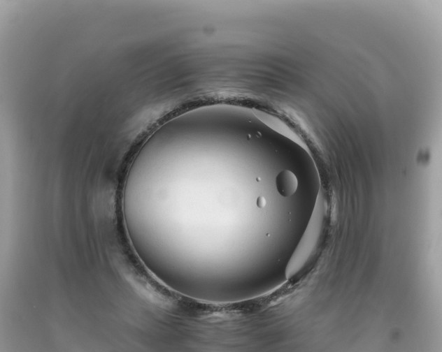 X0000092020447200709131600