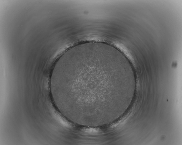 X0000092020449200709131600