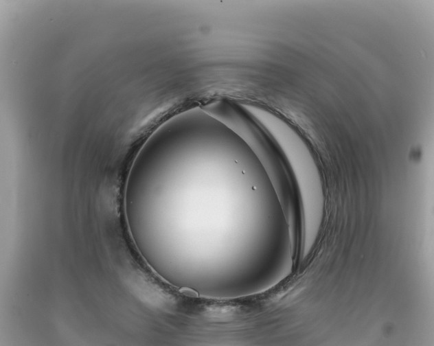 X0000092020450200709131600