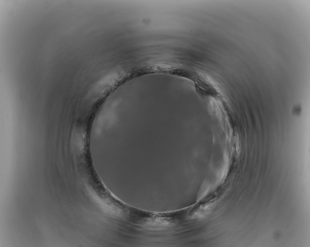 X0000092020451200709131600