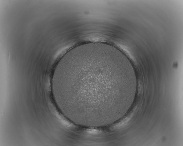 X0000092020453200709131600
