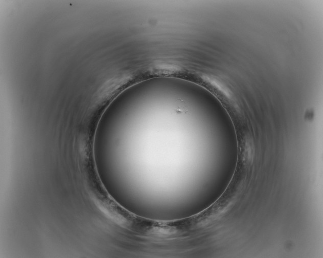 X0000092020455200709131600