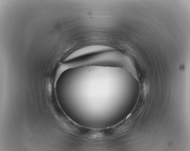 X0000092020456200709131600