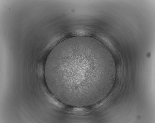 X0000092020457200709131601
