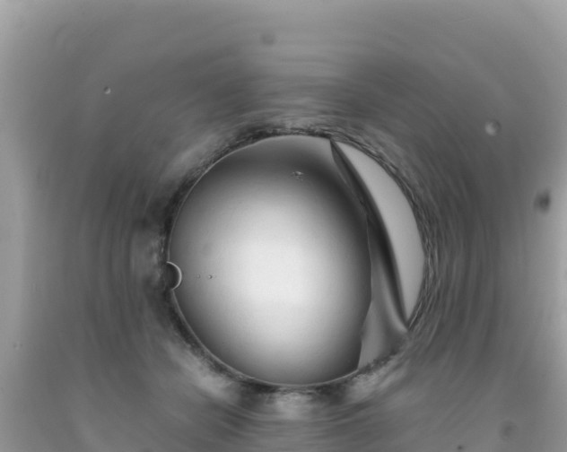 X0000092020462200709131601