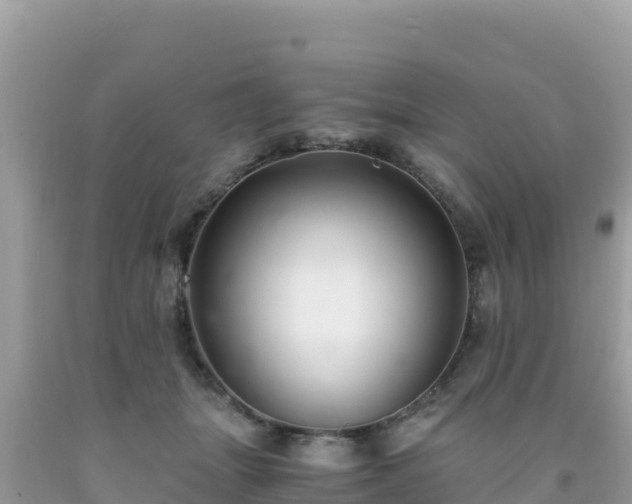 X0000092020463200709131601