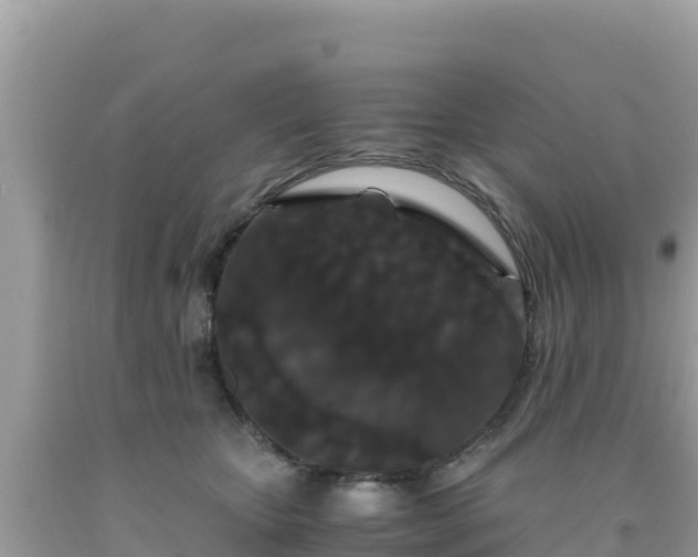 X0000092020467200709131601